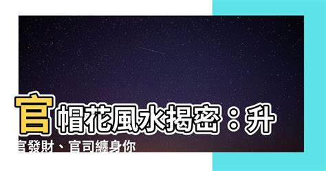 官帽花風水|【官帽風水】最全官帽風水指南：化解煞氣、提升官運！